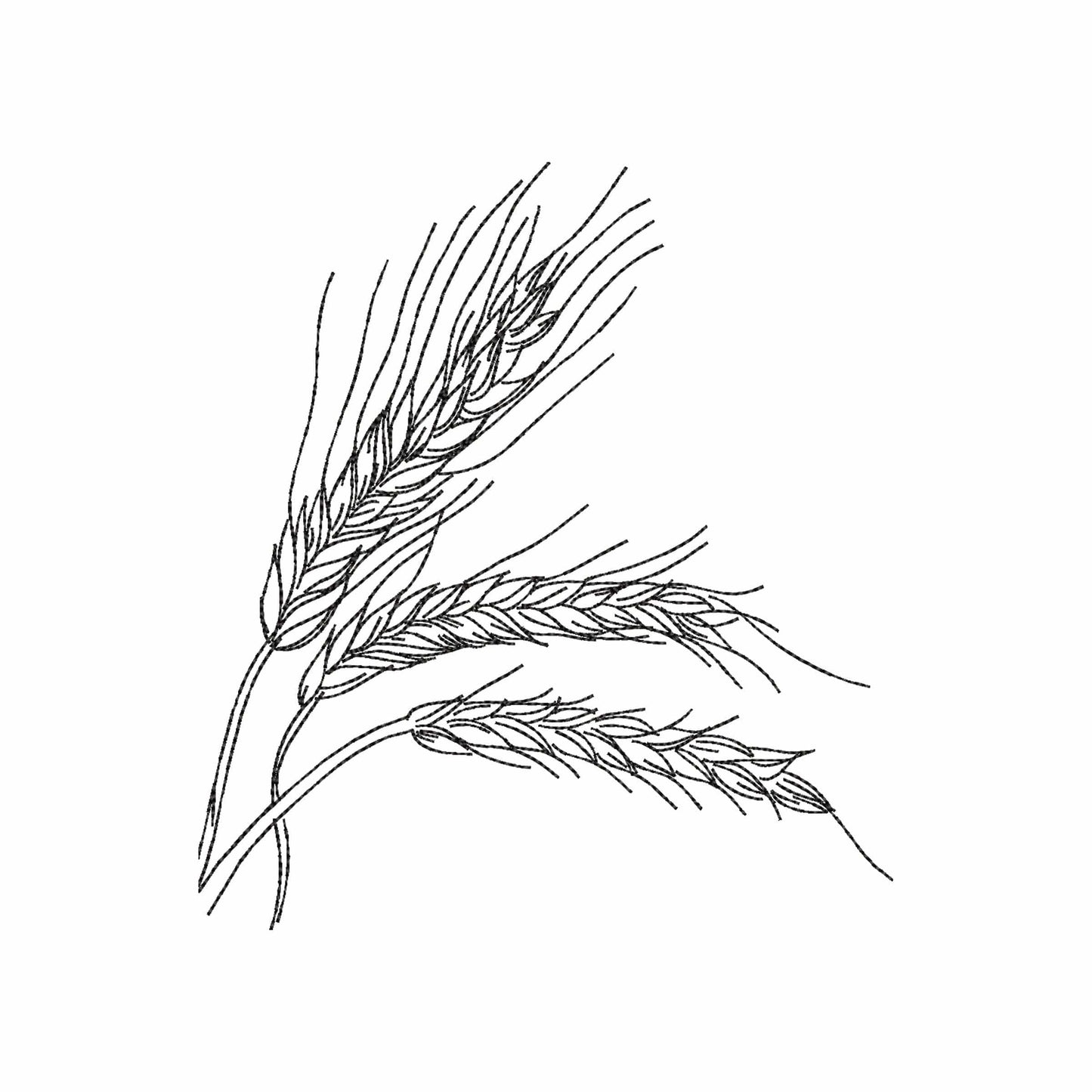 Wheat - Embroidery design